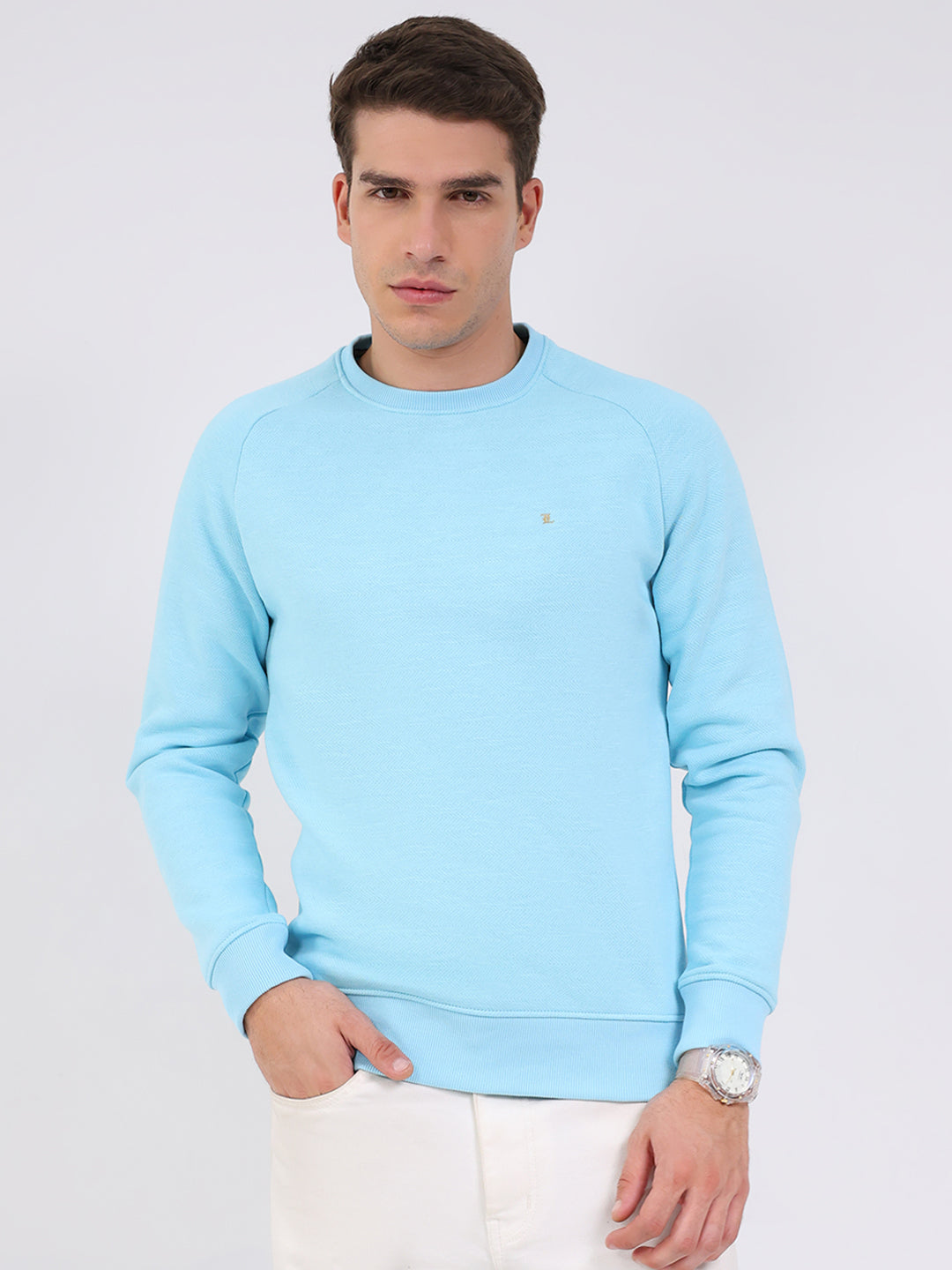 Luxuria Men Sky Blue Solid Round Neck Full Sleeve Sweatshirt