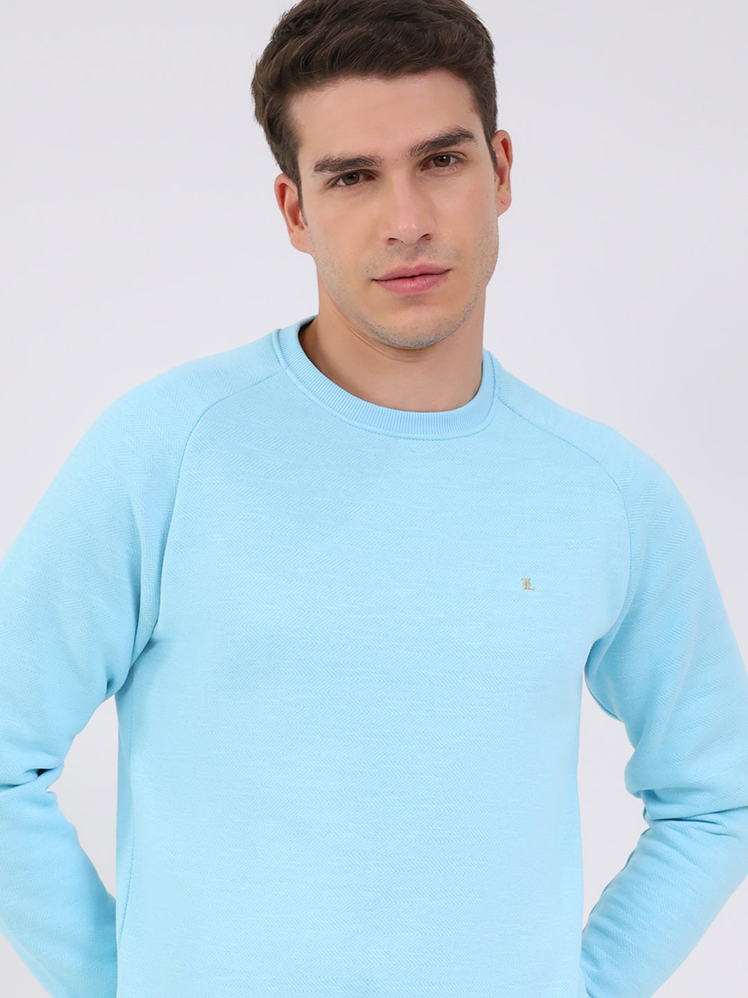 Luxuria Men Sky Blue Solid Round Neck Full Sleeve Sweatshirt