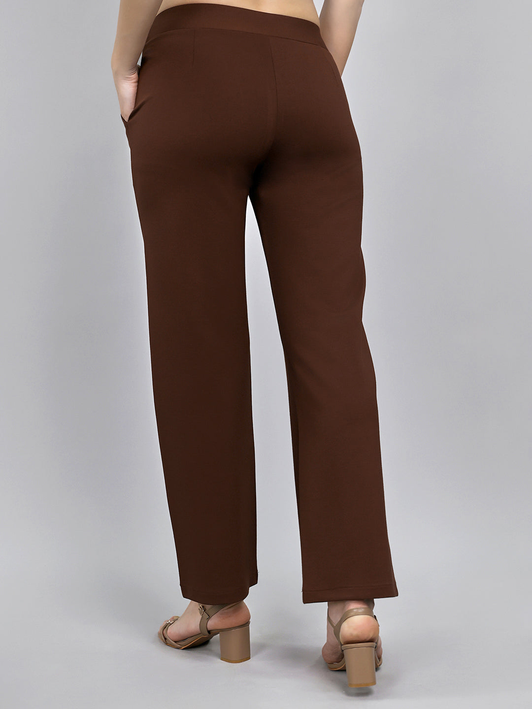 Women Brown Solid Regular Fit Jegging