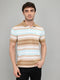 Men Brown Stripe Collar Half Sleeve T-Shirt