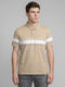 Men Beige Stripe Polo Collar Half Sleeve T-Shirt