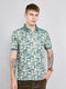 Men Green Colourblocked Collar Half Sleeve T-Shirt