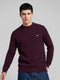Men Maroon Solid High Neck Full Sleeve Winter T-Shirt