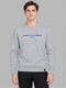 Men Grey Solid Round Neck Full Sleeve Sweatshirt