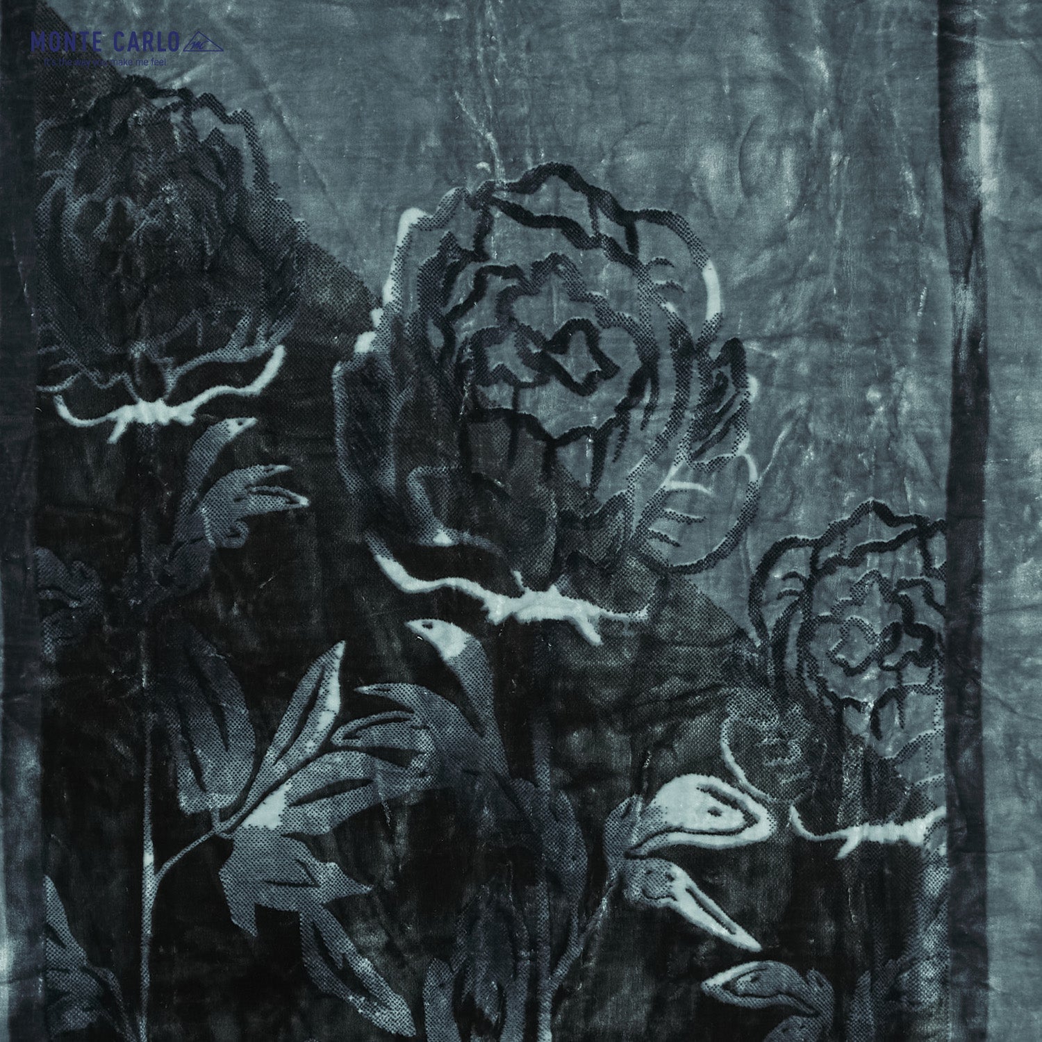 Printed Single Bed 1022 GSM Blanket Lucas 2 Ply (Weight 3.6 kg)