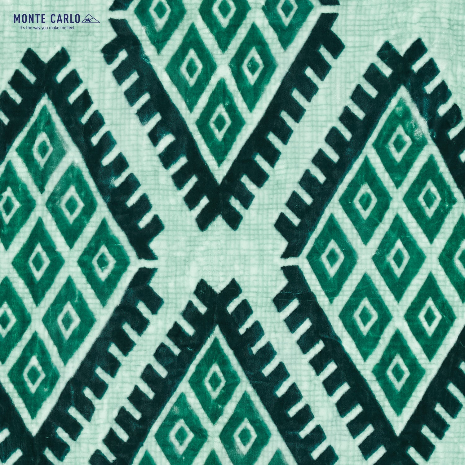 Printed Single Bed 1022 GSM Blanket Lucas 2 Ply (Weight 3.6 kg)