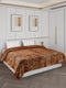 Printed Double Bed Blanket for Heavy Winter -2 Ply
