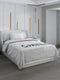 Printed Single Bed Blanket for Mild Winter -2 Ply