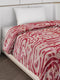 Printed Single Bed 710 GSM Blanket Ignis 2 Ply (Weight 2.5 kg)