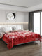 Printed Double Bed Reversible Blanket 2 Ply, 757 GSM, 4 kg (Super Star)