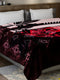 Printed Double Bed Reversible Blanket 2 Ply, 910 GSM, 4.8 kg (Vista)