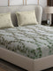 110 GSM Polyester Double Bed 1 Bedsheet with 2 Pillow Covers (Aromatic) - Updated - Updated