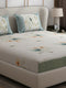 130 GSM Polyester Double Bed 1 Bedsheet with 2 Pillow Covers (Essence)
