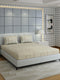 144 TC Cotton Double Bed 1 Bedsheet with 2 Pillow Covers (Fashnik)