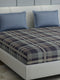 200 TC Cotton Double Bed 1 Bedsheet with 2 Pillow Covers (Ramona)