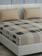200 TC Cotton Double Bed 1 Bedsheet with 2 Pillow Covers (Ramona)