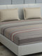 200 TC Cotton Double Bed 1 Bedsheet with 2 Pillow Covers (Ramona)