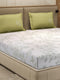 110 GSM Polyester Double Bed 1 Bedsheet with 2 Pillow Cover (Aromatica)