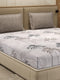 110 GSM Polyester Double Bed 1 Bedsheet with 2 Pillow Cover (Aromatica)