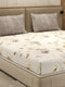 110 GSM Polyester Double Bed 1 Bedsheet with 2 Pillow Cover (Aromatica)