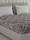210 TC Cotton Double Bed 1 Bedsheet with 2 Pillow Covers (Ramona)