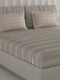 210 TC Cotton Double Bed 1 Bedsheet with 2 Pillow Covers (Ramona)