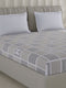 210 TC Cotton Double Bed 1 Bedsheet with 2 Pillow Covers (Ramona)