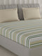 210 TC Cotton Double Bed 1 Bedsheet with 2 Pillow Covers (Ramona)