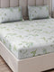 130 GSM Polyester King Size 1 Bedsheet with 2 Pillow Covers (Royal King)