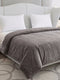 Double Bed 2 Ply 420 GSM Blanket for Winter (Comfort Layer), Weight 2.2 kg