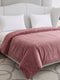 Double Bed 2 Ply 420 GSM Blanket for Winter (Comfort Layer), Weight 2.2 kg