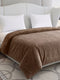 Double Bed 2 Ply 420 GSM Blanket for Winter (Comfort Layer), Weight 2.2 kg