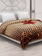Printed Double Bed 2 Ply 850 GSM Blanket for Winter (Champion), Weight 4.5 kg