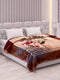 Printed Double Bed 2 Ply 850 GSM Blanket for Winter (Champion), Weight 4.5 kg