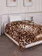 Printed Single Bed 2 Ply 550 GSM Blanket for Winter (Glamour), Weight 2 kg