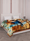 Printed Double Bed 3 Ply 890 GSM Blanket for Winter (Gulnar), Weight 4.7 kg
