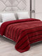 Double Bed 2 Ply 680 GSM Blanket for Winter (Ivy Rose), Weight 3.6 kg