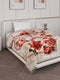 Printed Single Bed 2 Ply 850 GSM Blanket for Winter (Kye), Weight 3 kg