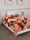 Printed Single Bed 2 Ply 890 GSM Blanket for Winter (Lavish Plus), Weight 3.15 kg