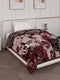 Printed Single Bed 2 Ply 890 GSM Blanket for Winter (Livo), Weight 3.15 kg