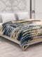Printed Double Bed 2 Ply 870 GSM Blanket for Winter (Moon Valley), Weight 4.6 kg