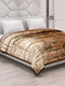 Printed Double Bed 2 Ply 870 GSM Blanket for Winter (Moon Valley), Weight 4.6 kg