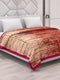 Printed Double Bed 2 Ply 870 GSM Blanket for Winter (Moon Valley), Weight 4.6 kg