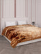 Printed Double Bed 2 Ply 870 GSM Blanket for Winter (Moon Valley), Weight 4.6 kg