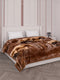 Printed Double Bed 2 Ply 870 GSM Blanket for Winter (Moon Valley), Weight 4.6 kg