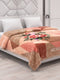 Printed Double Bed 2 Ply 870 GSM Blanket for Winter (Moon Valley Plus), Weight 4.6 kg