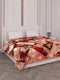 Printed Double Bed 2 Ply 870 GSM Blanket for Winter (Moon Valley Plus), Weight 4.6 kg