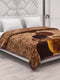 Printed Double Bed 2 Ply 990 GSM Blanket for Winter (Parker), Weight 5.25 kg
