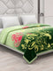 Printed Double Bed 1 Ply 500 GSM Blanket for Winter (Regal), Weight 2.4 kg