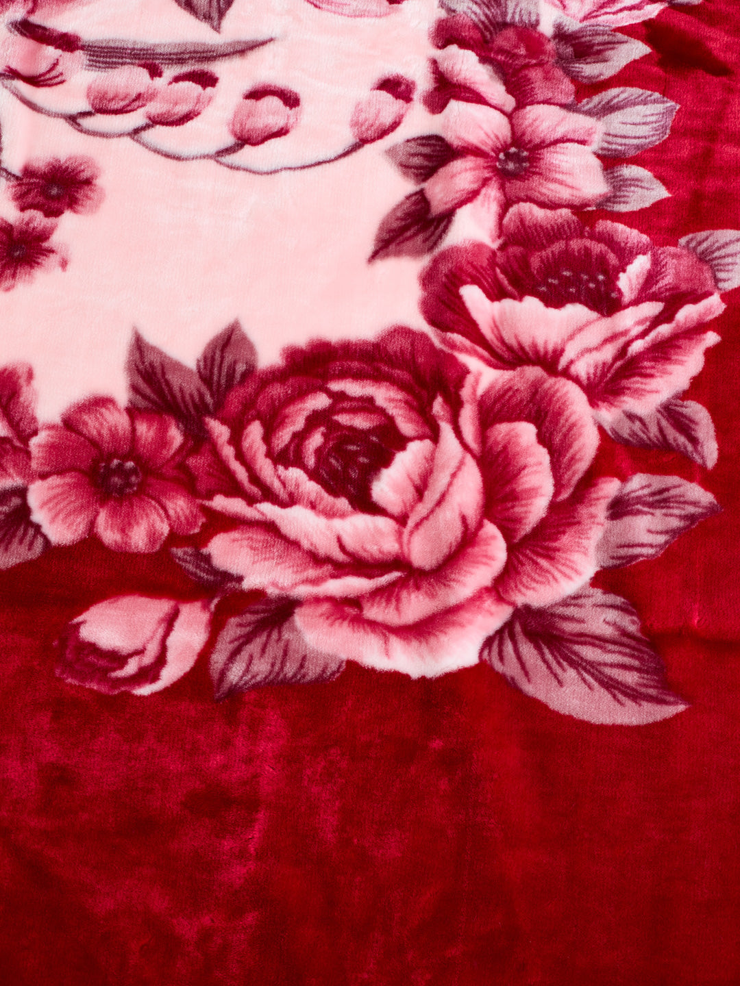 Floral Print Double Bed 2 Ply 750 GSM Blanket for Winter (Super Star), Weight 4 kg